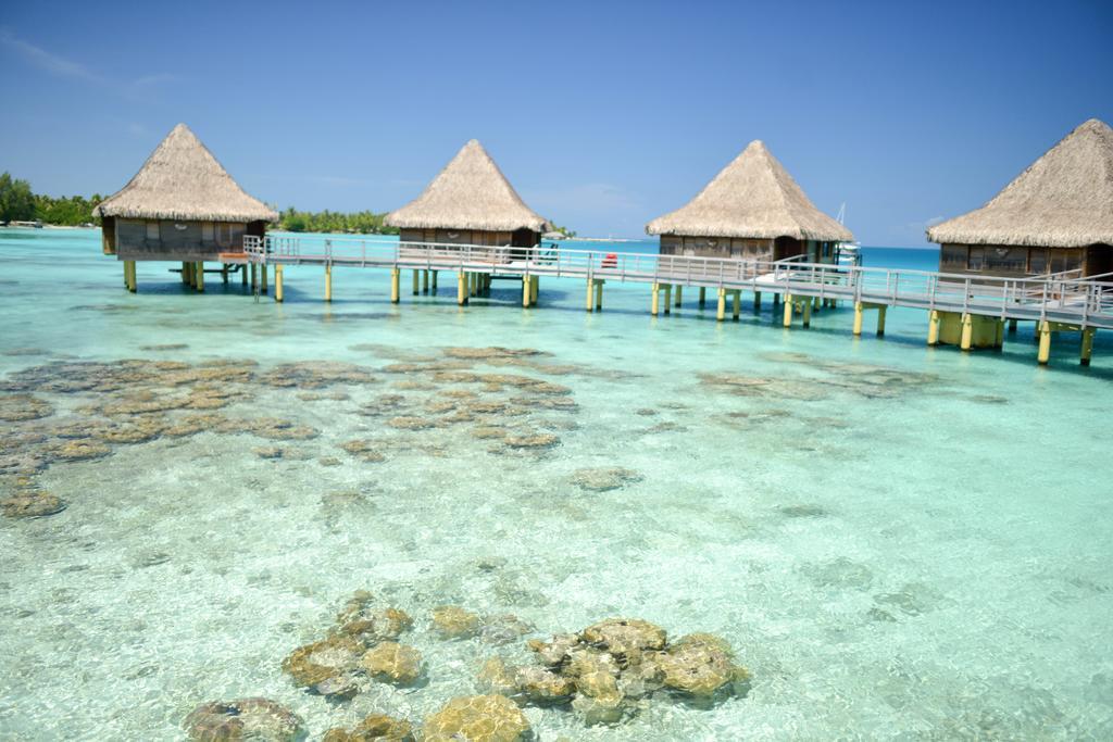 Hotel Kia Ora Resort & Spa Avatoru Rum bild